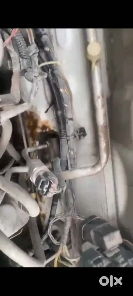 Maruti Suzuki Alto 2014