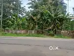 PWD ROAD FRONTAGE CHALAKUDY  ADICHILY ROD