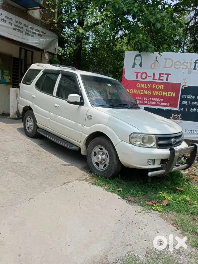 White Safari 2011 Model