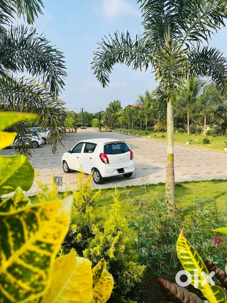 Maruti Suzuki Alto 800 2017 Petrol Good Condition