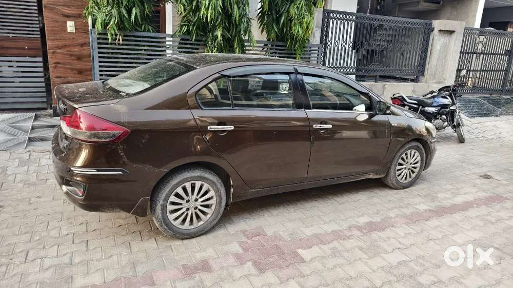 Ciaz Zdi  2015