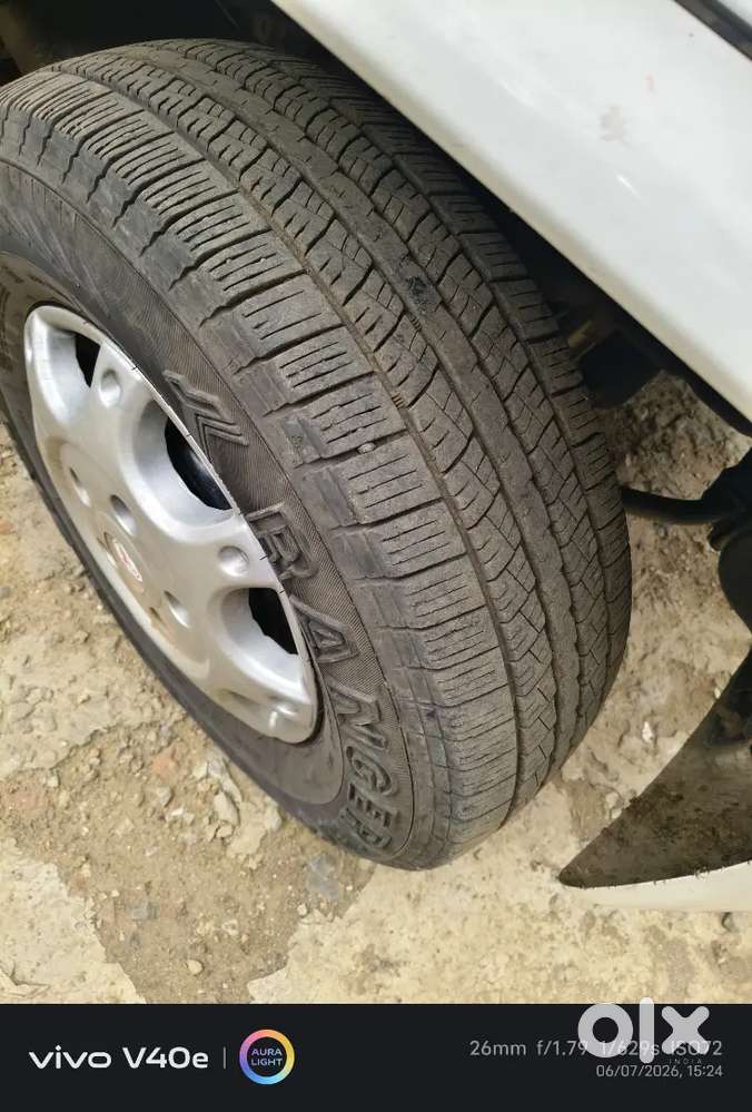 Fresh Condition