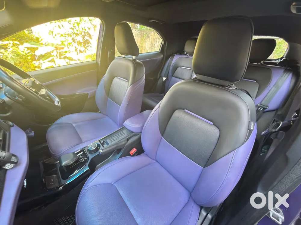 Tata Nexon 2024 Fearless Purple Petrol Automatic