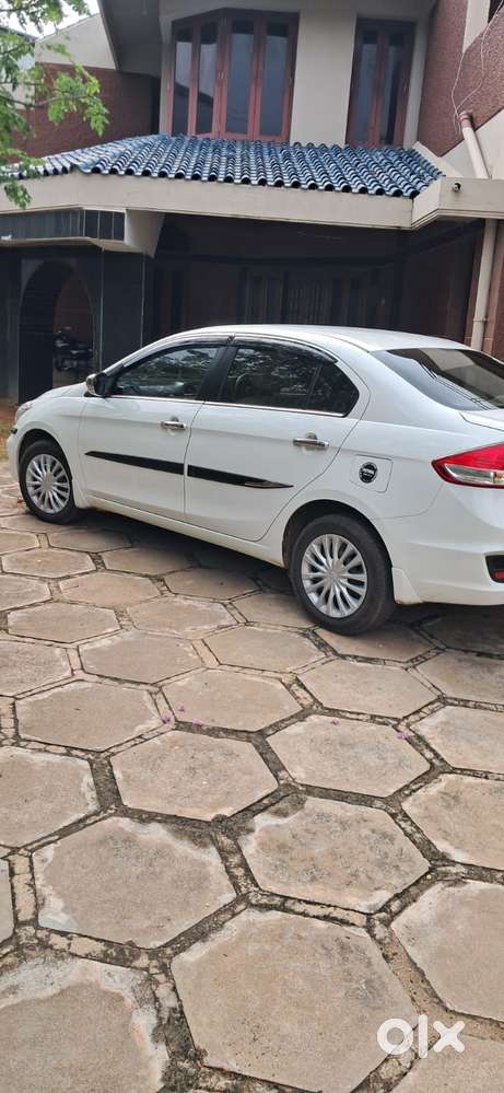 Maruti Suzuki Ciaz Sigma, 2025, Petrol
