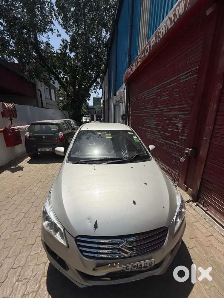 Maruti Ciaz 2016