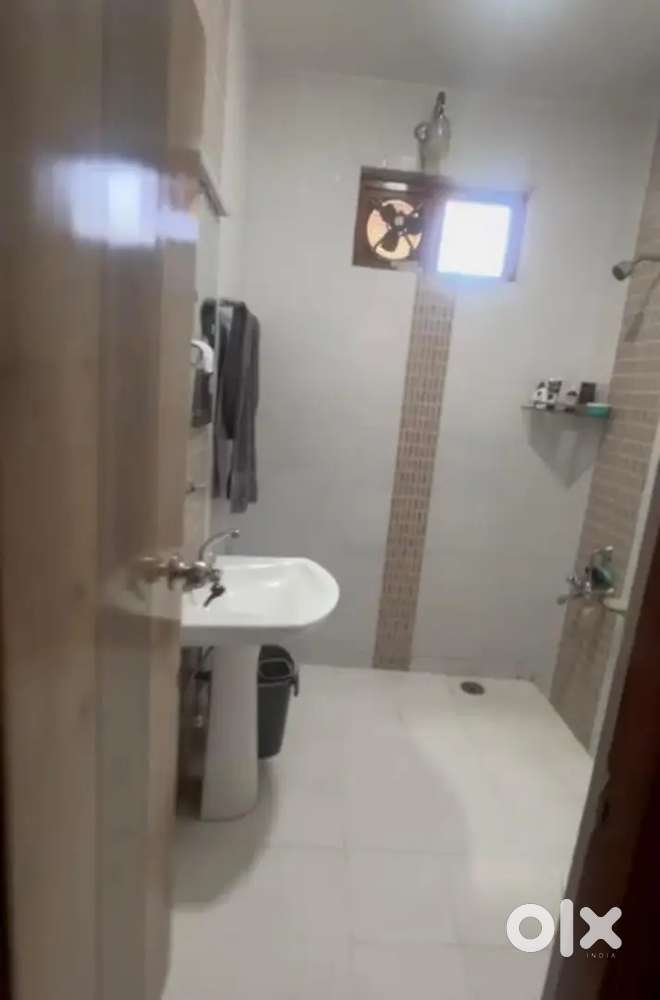 flat appartment on rent