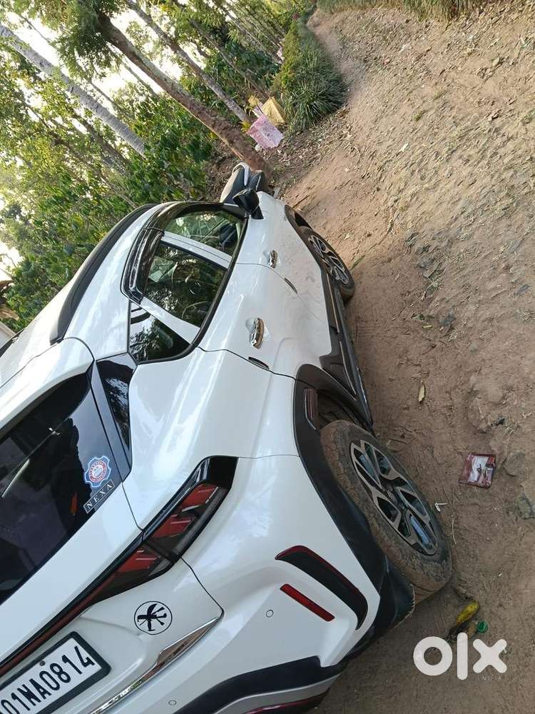 Maruti Suzuki Petrol 2024
