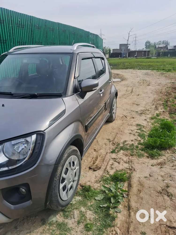 Ignus No Expenditure