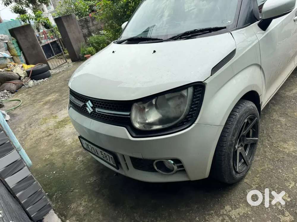 Maruti Suzuki Ignis 2019 1.2 Petrol