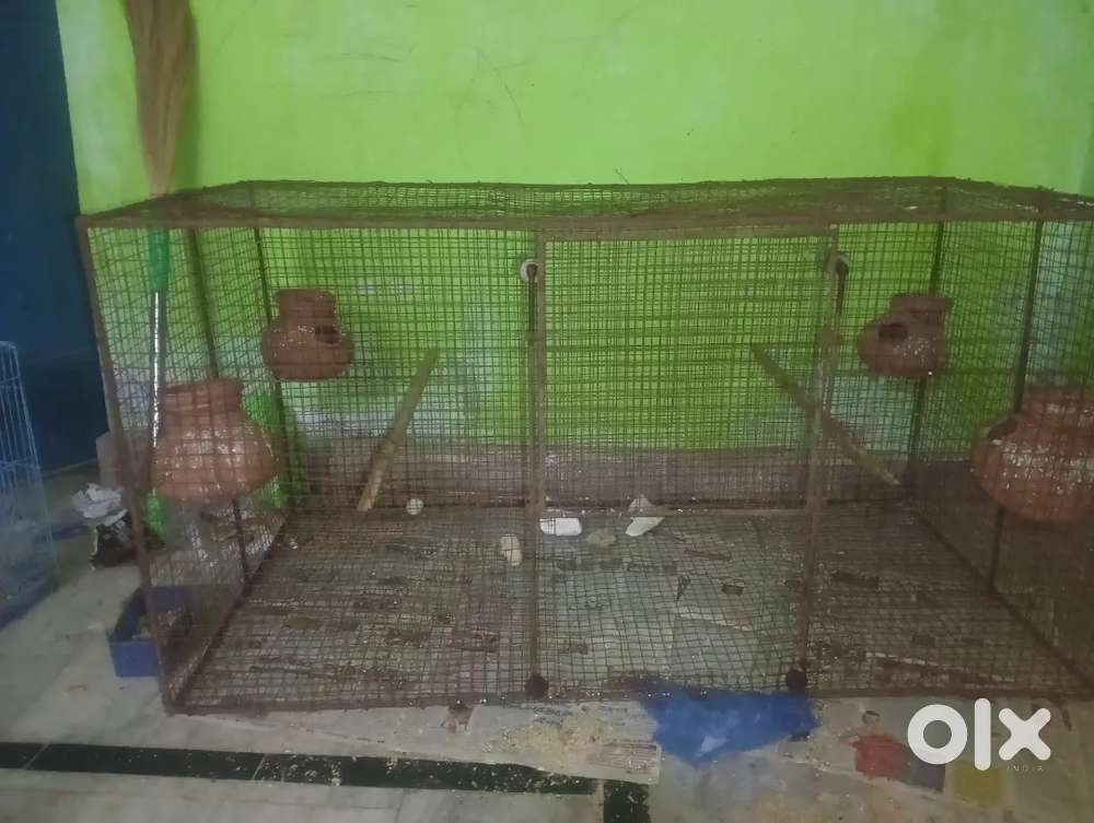 Birds cage ( కొల్లు,పక్షులు,) పంజరం