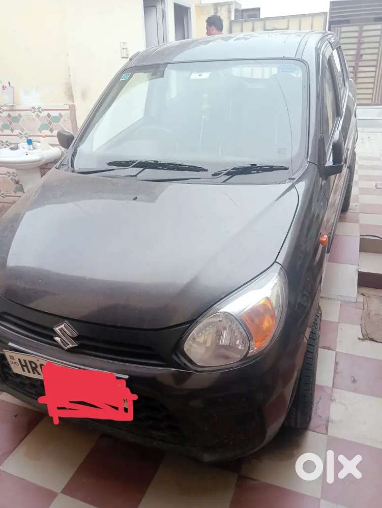 Bumper To Bumper Janeman Paint