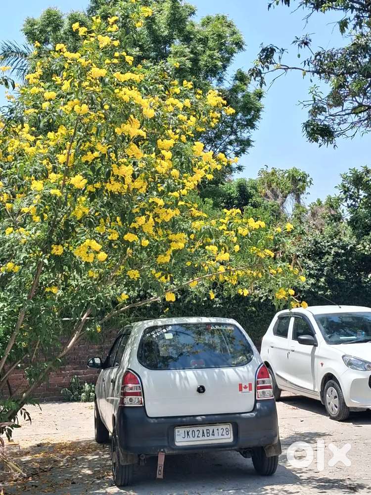 Maruti Suzuki Alto 2006 Life 2031 Ending