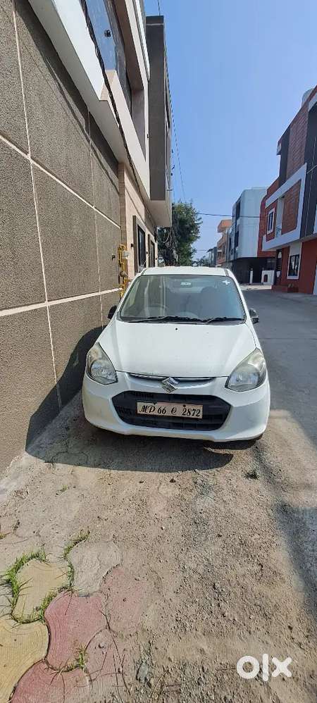 Alto 800, 1st Honor, Good Condition White Color