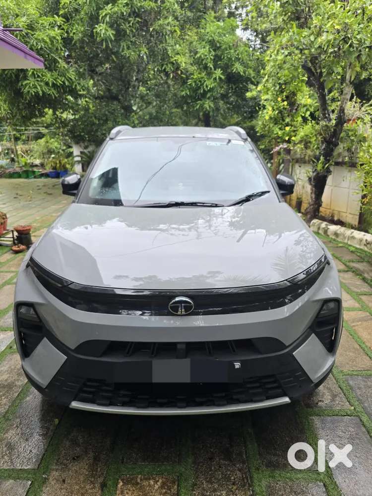 Tata Nexon 2026 Petrol Dct 3962 Km Driven