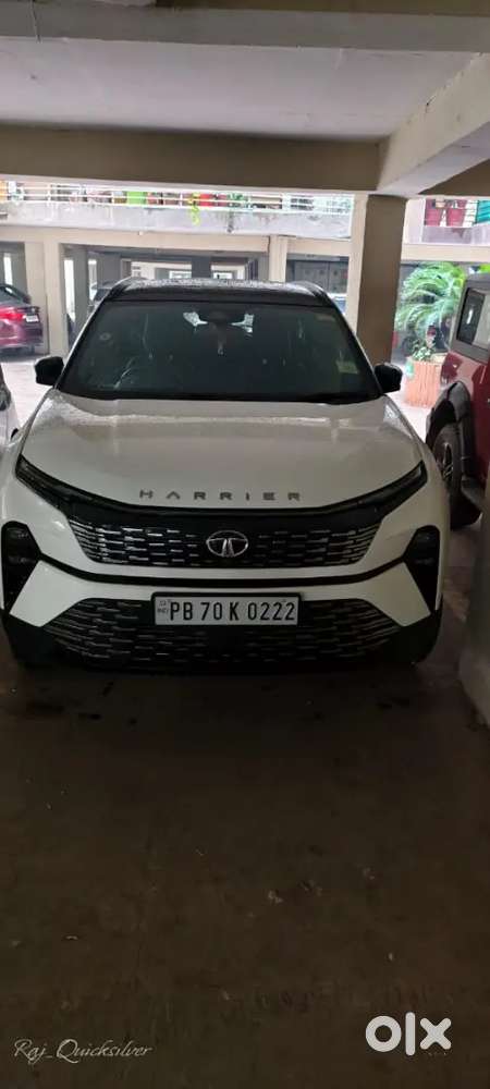 Tata Harrier Automatic 2024 Diesel 35000 Km Driven