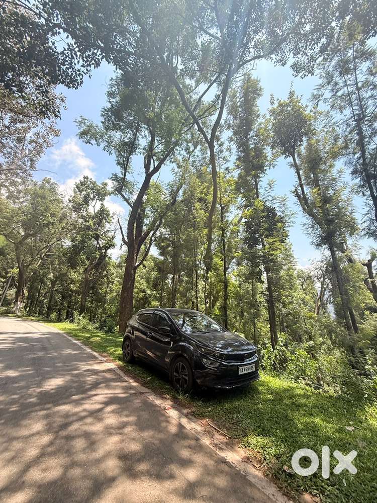Tata Altroz 2024 Petrol Well Maintained