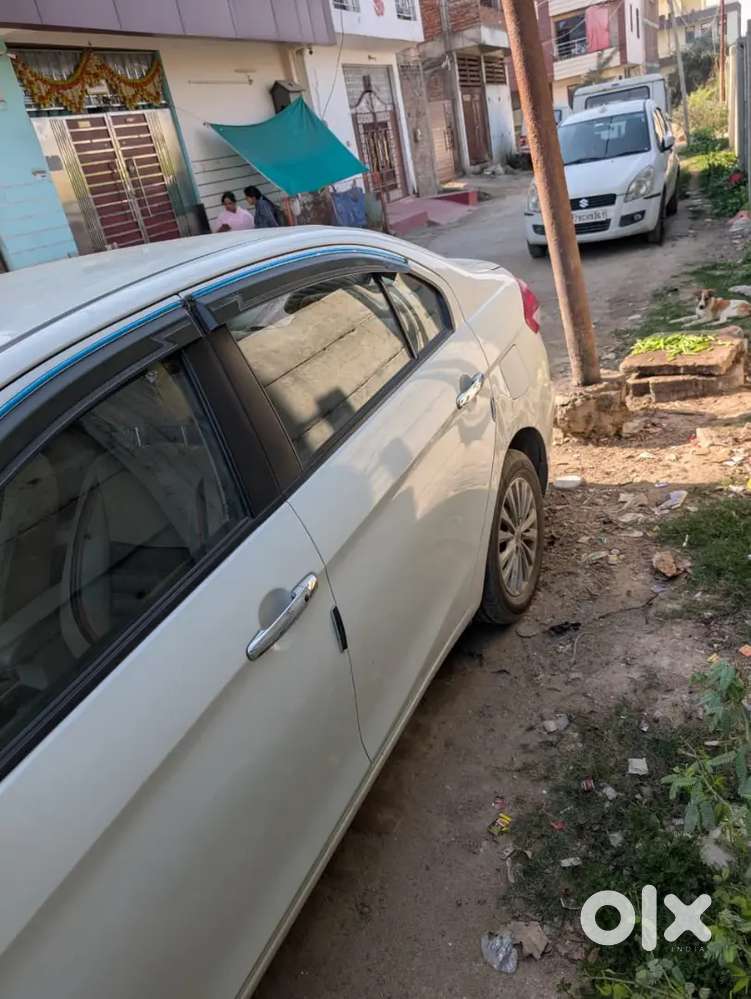 Maruti Suzuki Ciaz 2023 Petrol Excellent Condition