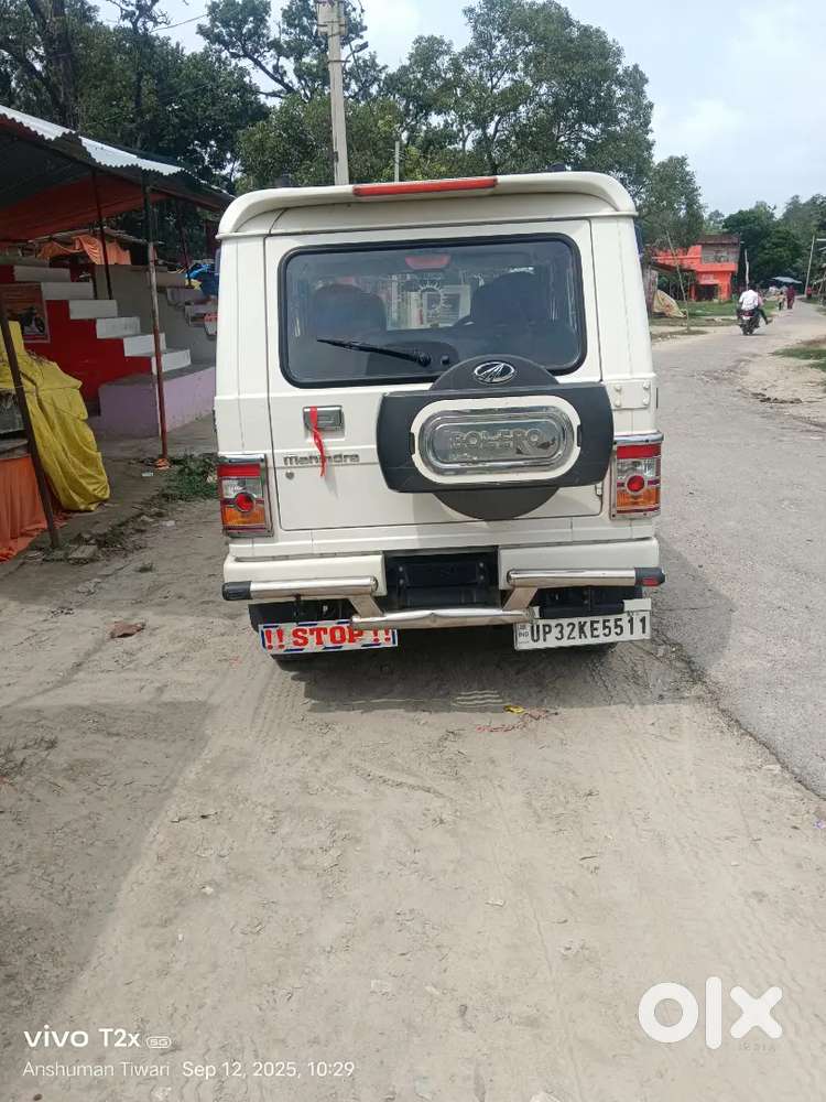 Bolero For Sale