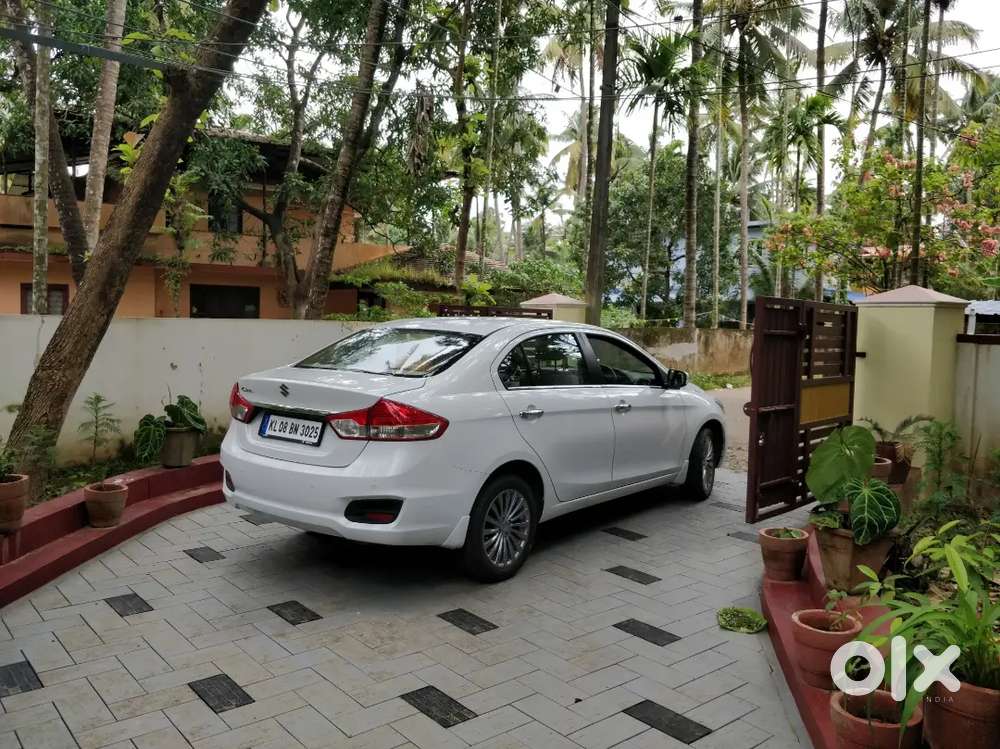 Maruti Suzuki Ciaz Alpha Petrol 2017 At