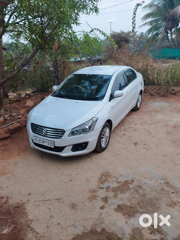 Car Colour White
