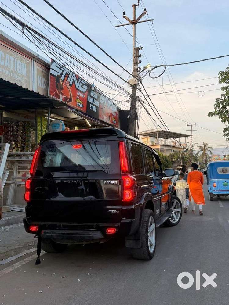 Black Scorpio Classic