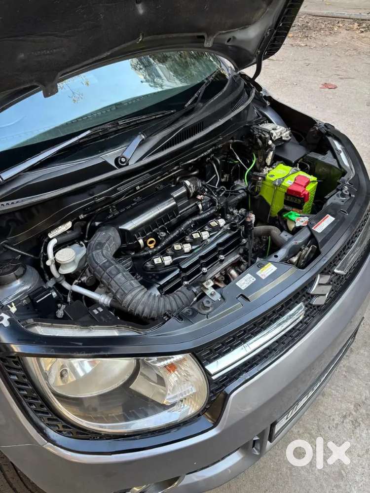 Maruti Suzuki Ignis 2018 Petrol 47000 Km Driven With Company Record