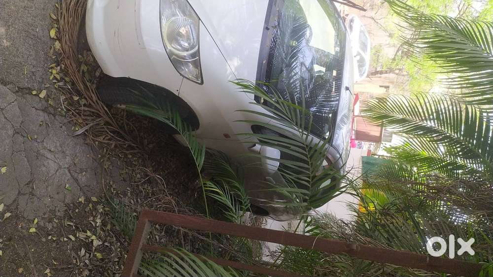 Honda City Dolphin Model Best Condition With Cng Fitting Vip Number