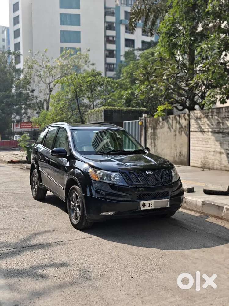 Black Beast Excellent Condition