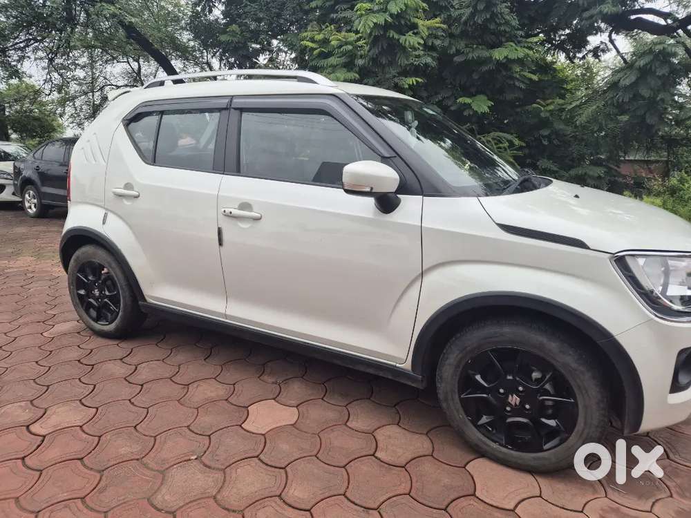 Maruti Suzuki Ignis 2024 Petrol Single Owner