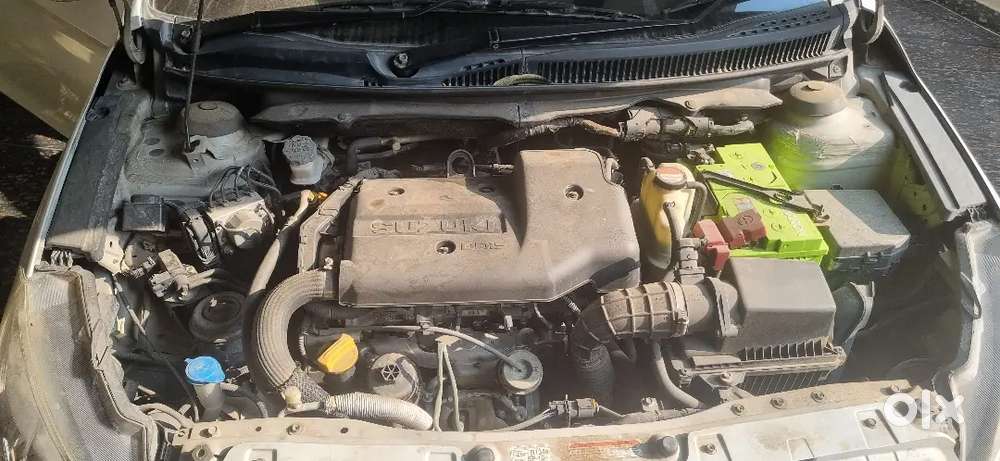 Maruti Ciaz In Excellent Condition Available For Sale