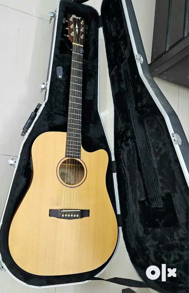 Professional Guitar with Hardcase Musical Instruments 1759414865