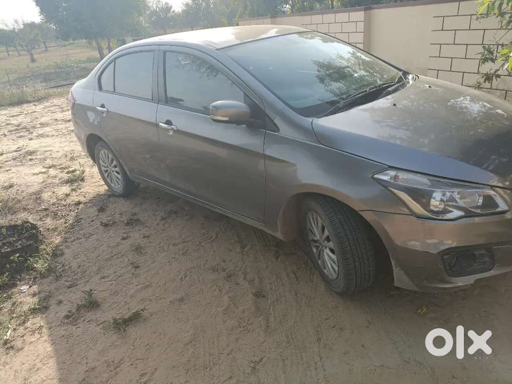 Ciaz Zdi Shvs