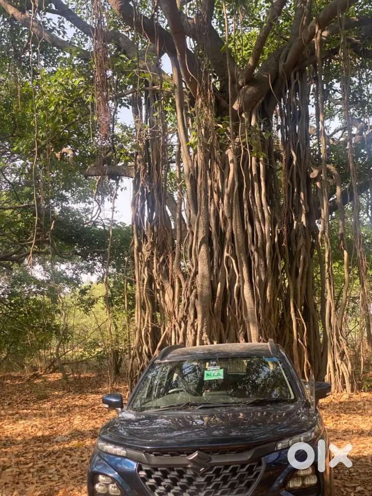 Maruti Suzuki Fronx 2023 Petrol Well Maintained