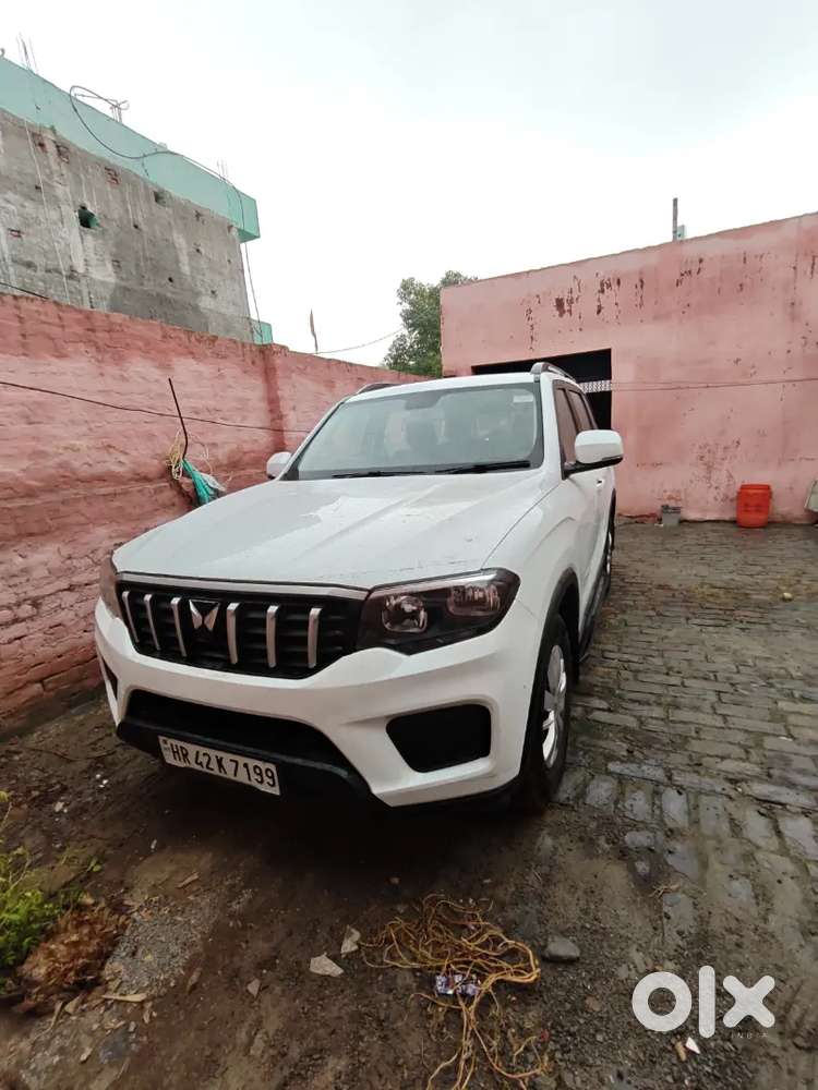 Mahindra Scorpio N Diesel November 2025