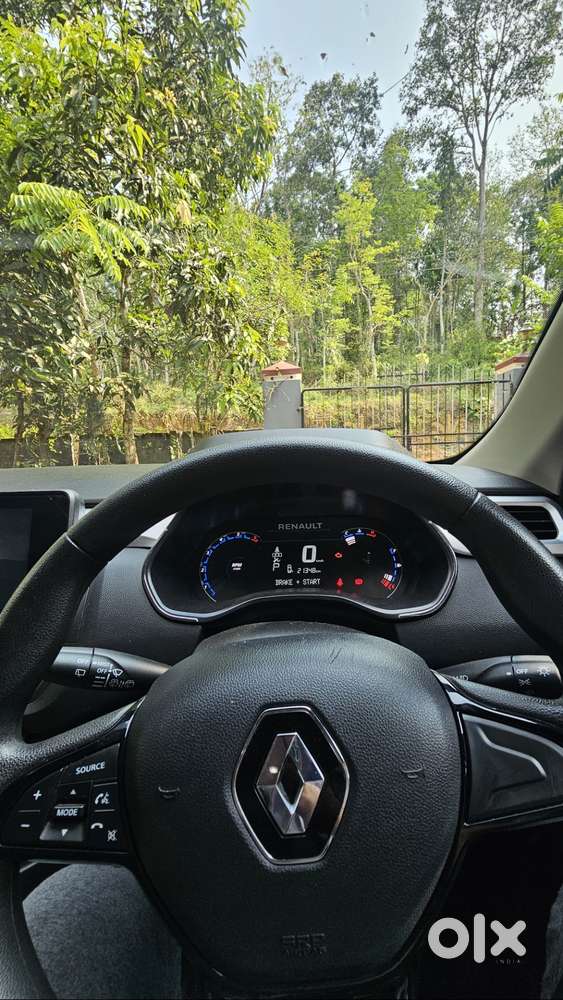 One Year Old Kiger For Sale