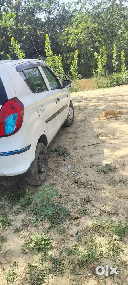 Maruti Suzuki Alto 800 2018 Petrol Good Condition