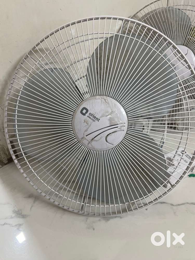 CELLING FAN ROTO 53