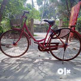 Olx ladies deals cycle