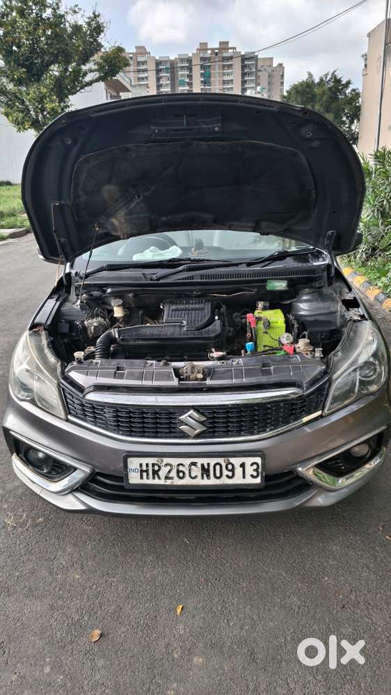 Maruti Suzuki Ciaz At Zxi Plus, 2015, Cng & Hybrids
