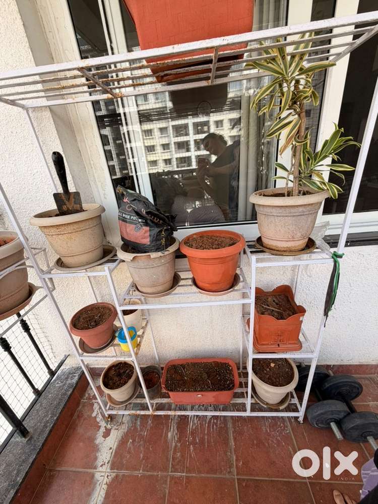 Hevy Iron Stand and Pot