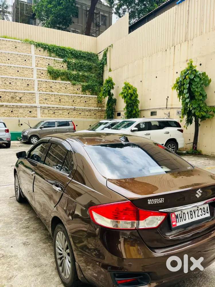 Maruti Suzuki Ciaz 2015 Model