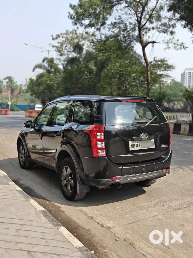 Black Beast Excellent Condition