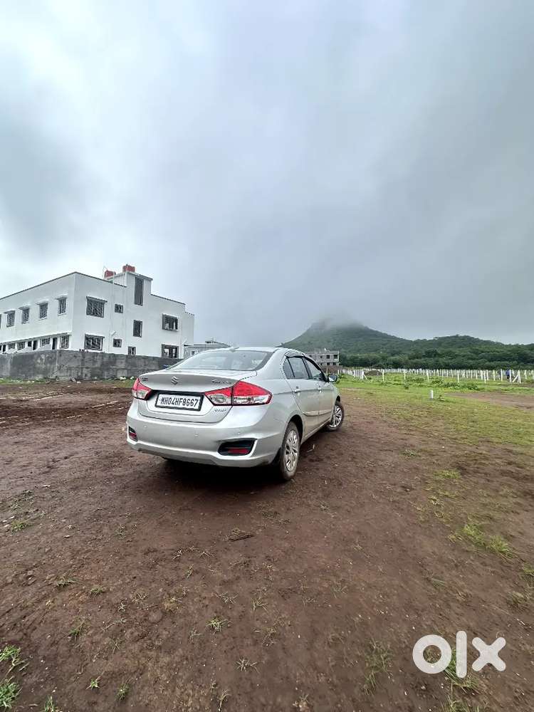 Maruti Suzuki Ciaz 2016 Diesel Well Maintained