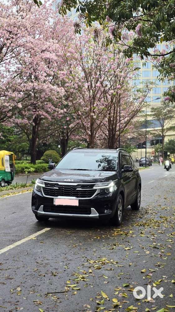 Kia Seltos 2024 Petrol Well Maintained