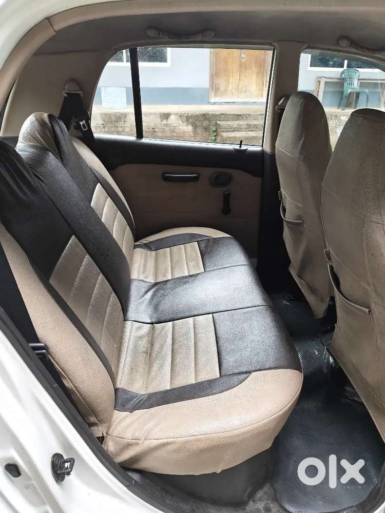 Hyundai Santro Xing 2010 Car