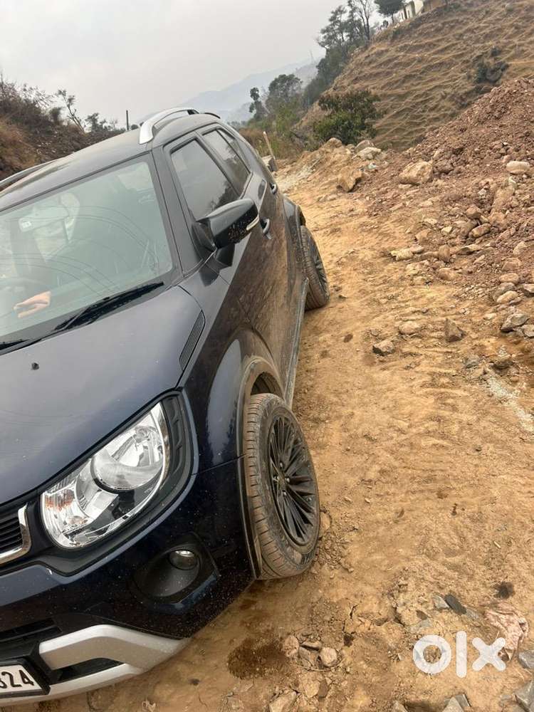 Maruti Suzuki Ignis 2025 Petrol Well Maintained