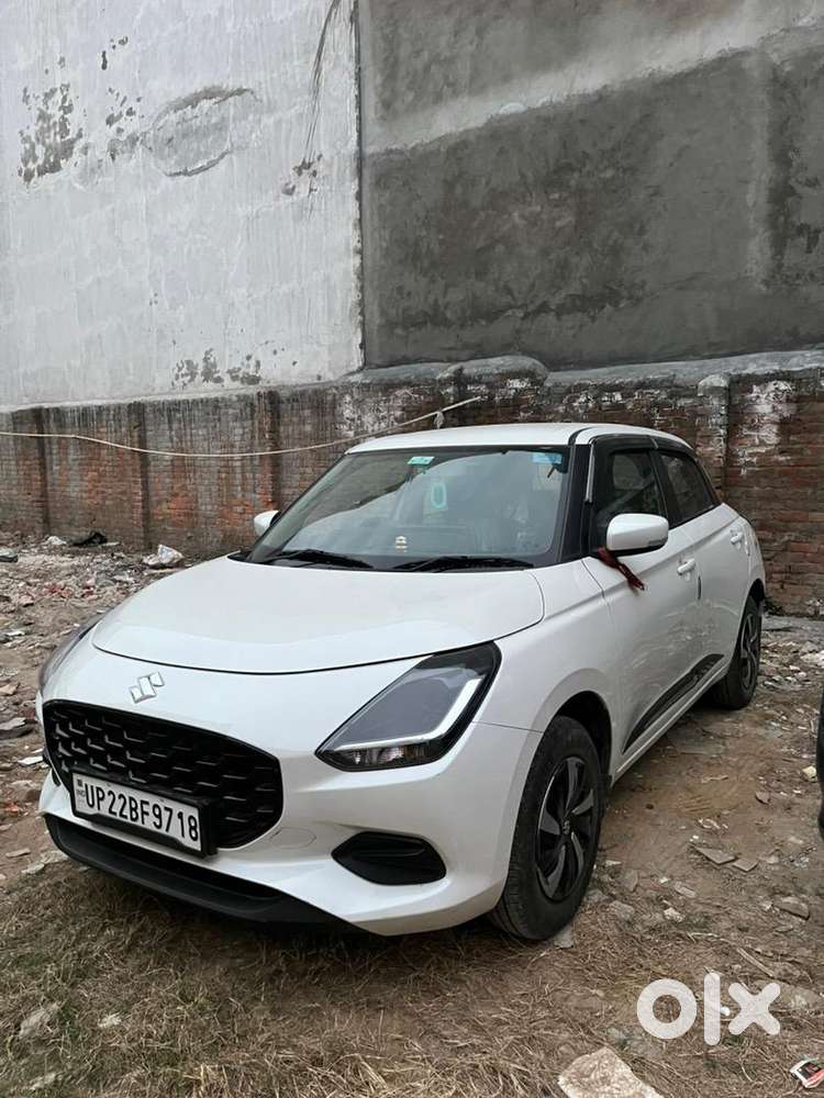 11 Months Old Swift 2025