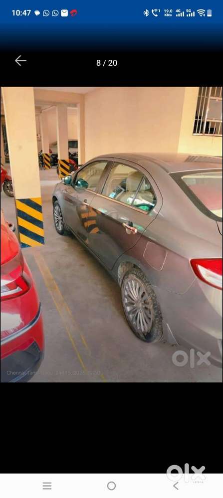 Maruti Suzuki Ciaz Alpha+  Top-end Variant  Manual  Premium Conditi