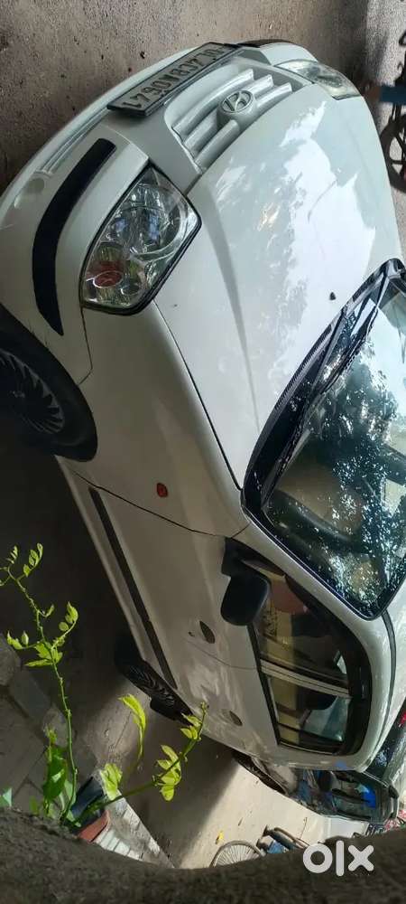 Kaserwa Gajrola Amroha U P