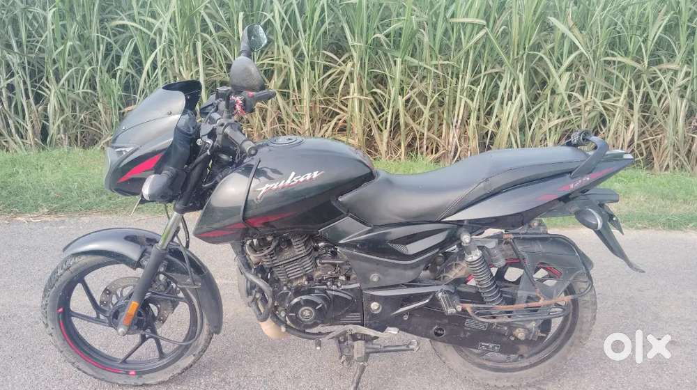 Bajaj Pulsar 125 2023 Model